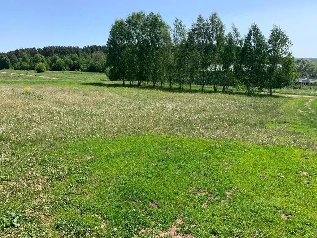 Земельные Участки В Высокогорском Районе Купить