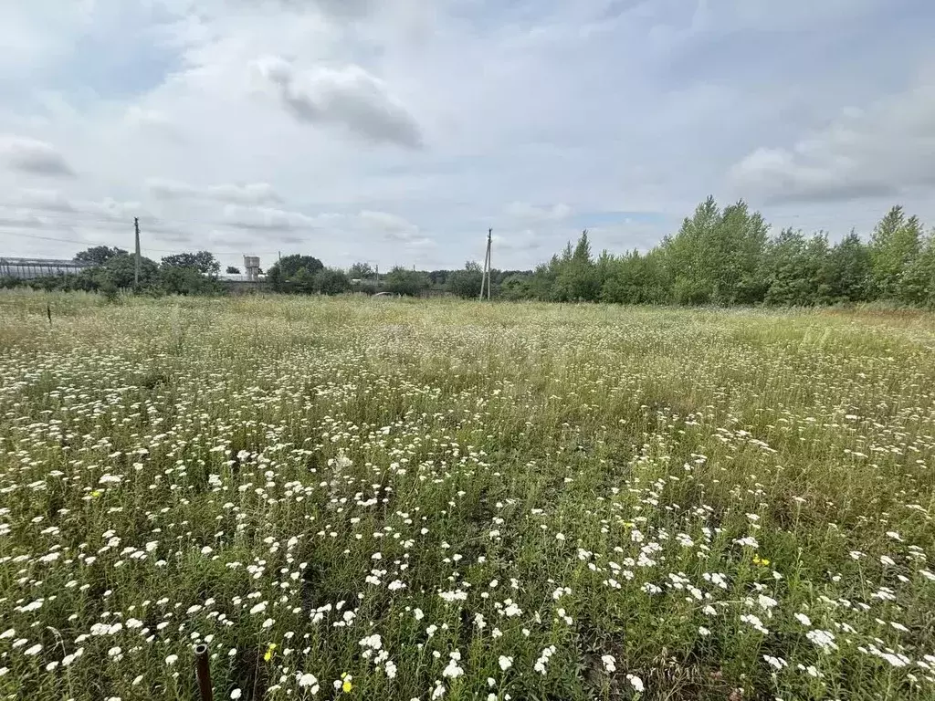 Участок в Белгородская область, Строитель Яковлевский городской округ, ... - Фото 1