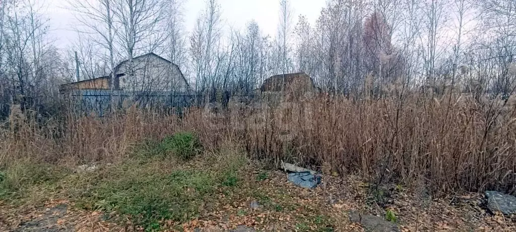Участок в Тюмень, территория СОСН Берёзка-3, 19-я улица (7.8 м) - Фото 2