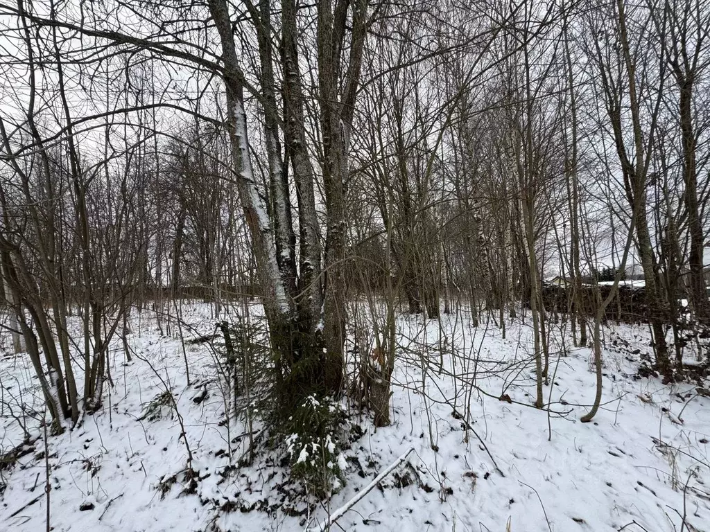Участок в Московская область, Волоколамский муниципальный округ, д. ... - Фото 2