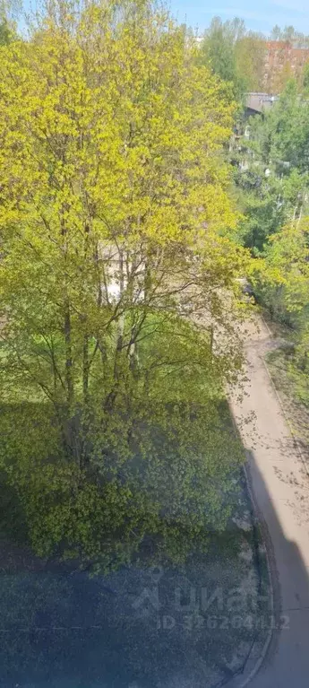 1-к кв. Санкт-Петербург ул. Карпинского, 34К2 (36.7 м) - Фото 2