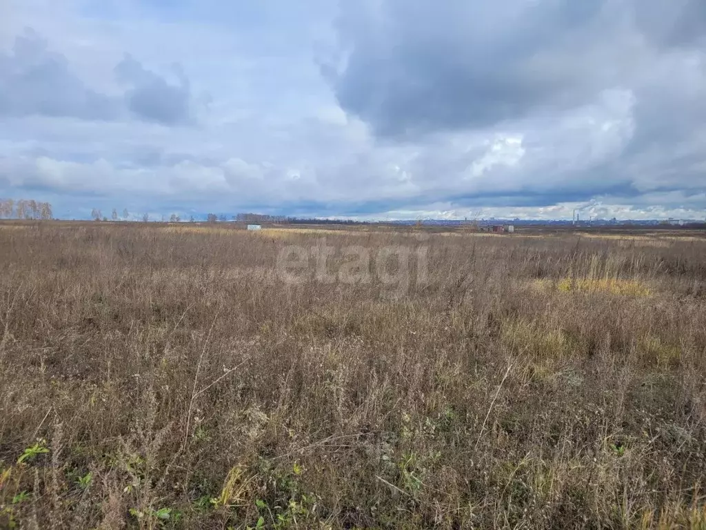 Участок в Ульяновская область, Ульяновск городской округ, с. Луговое ... - Фото 1