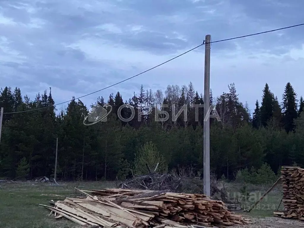Участок в Свердловская область, Тугулым пгт ул. Новостроящаяся (9.99 ... - Фото 1