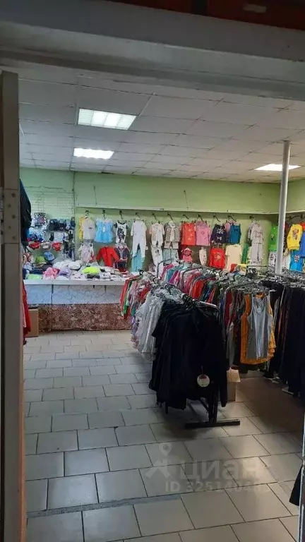 Помещение свободного назначения в Воронежская область, Таловая рп ул. ... - Фото 2