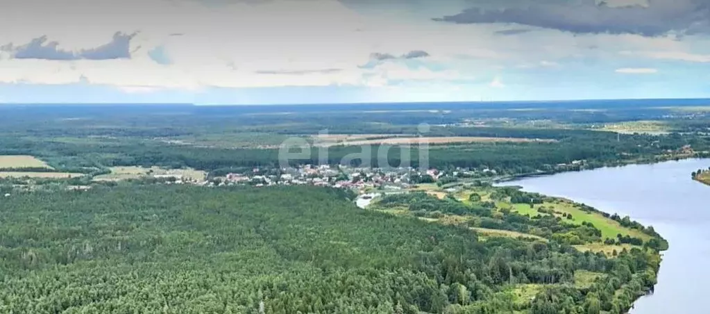 Дом в Тверская область, Калининский муниципальный округ, д. Юрьевское ... - Фото 2
