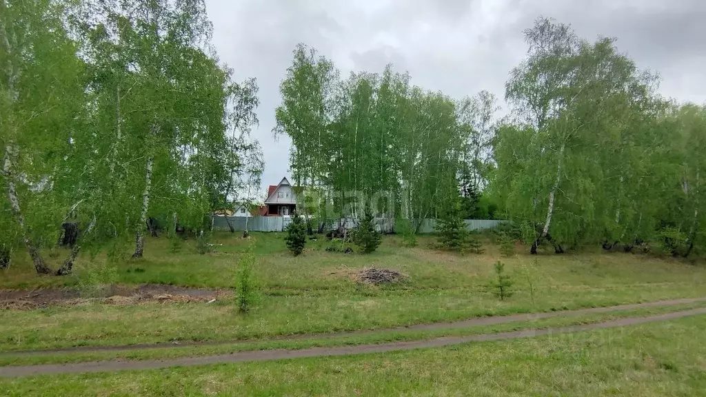 Участок в Курганская область, с. Кетово  (20.0 сот.) - Фото 1