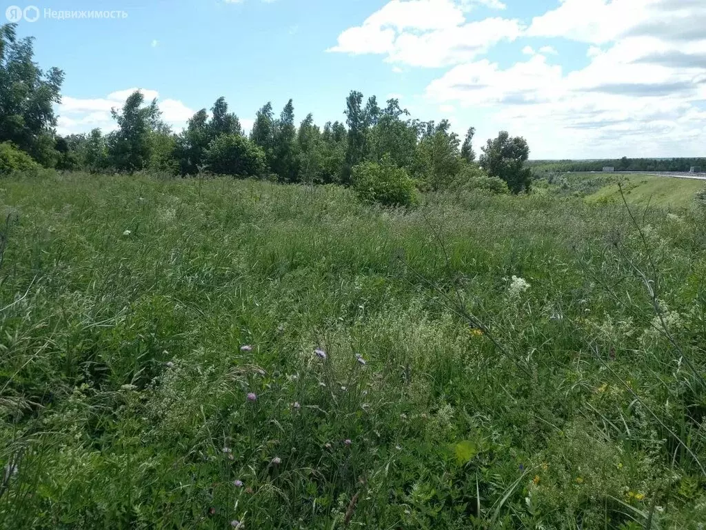 Участок в Нижегородская область, Богородский муниципальный округ, ... - Фото 2