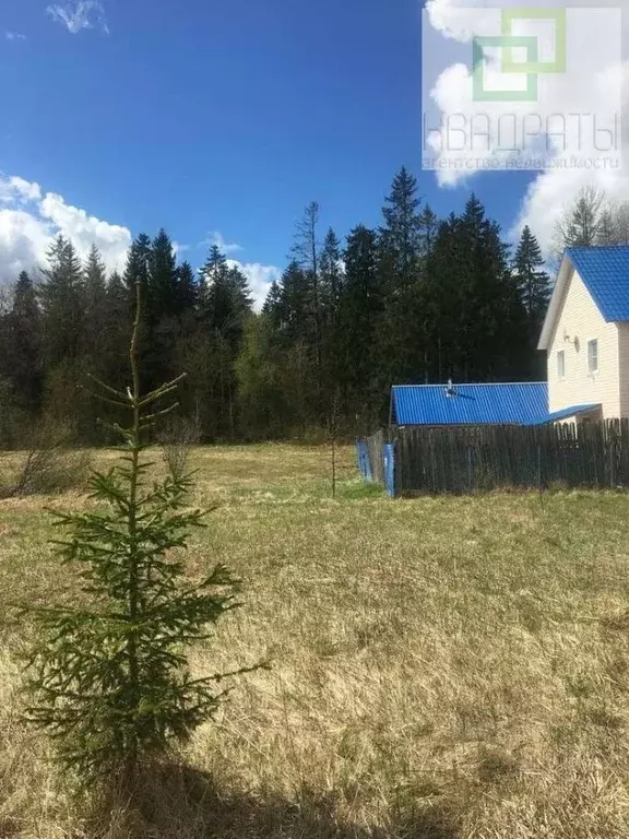 Участок в Ленинградская область, Ломоносовский район, Лопухинское ... - Фото 0