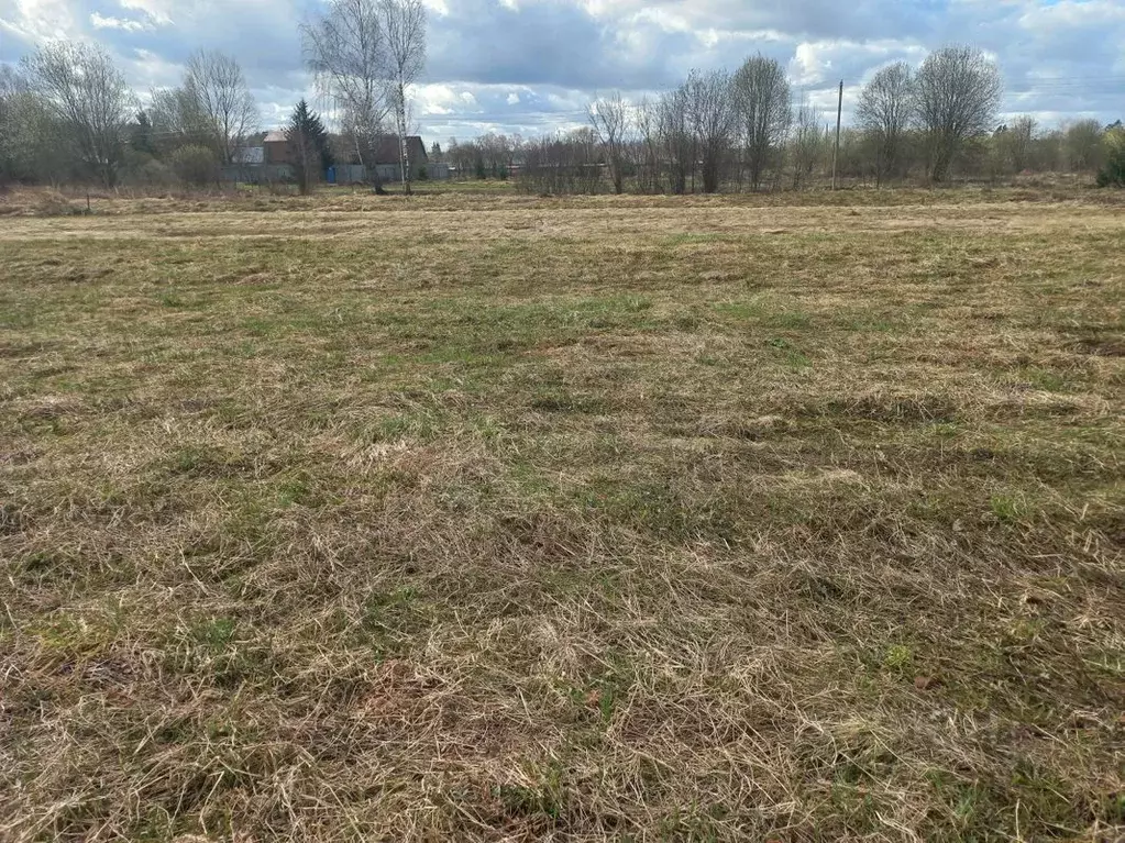 Участок в Московская область, Пушкинский городской округ, д. Алешино  ... - Фото 2