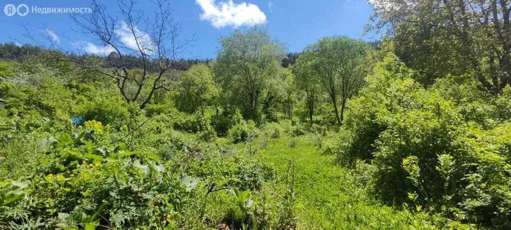 Участок в Ставропольский край, Кисловодск (20 м) - Фото 1