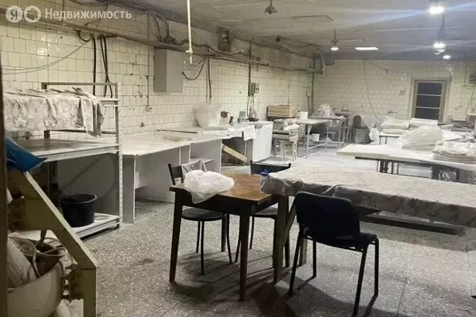 Помещение свободного назначения (220 м) - Фото 1