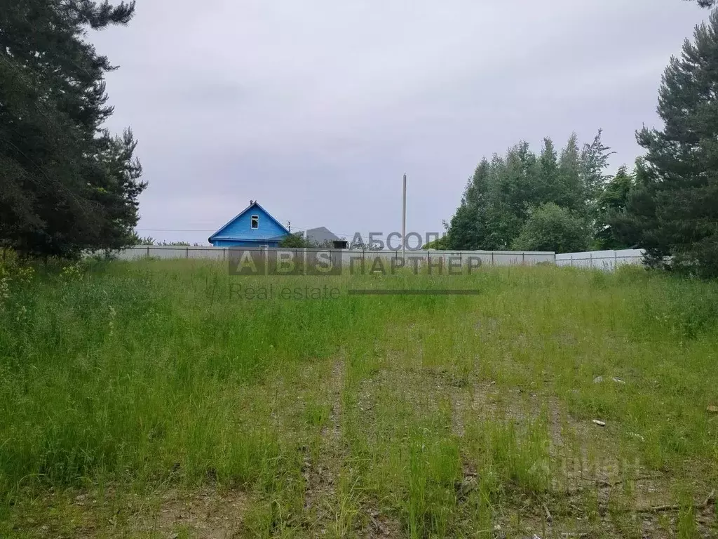 Участок в Новгородская область, Новгородский район, Ракомское с/пос, ... - Фото 1