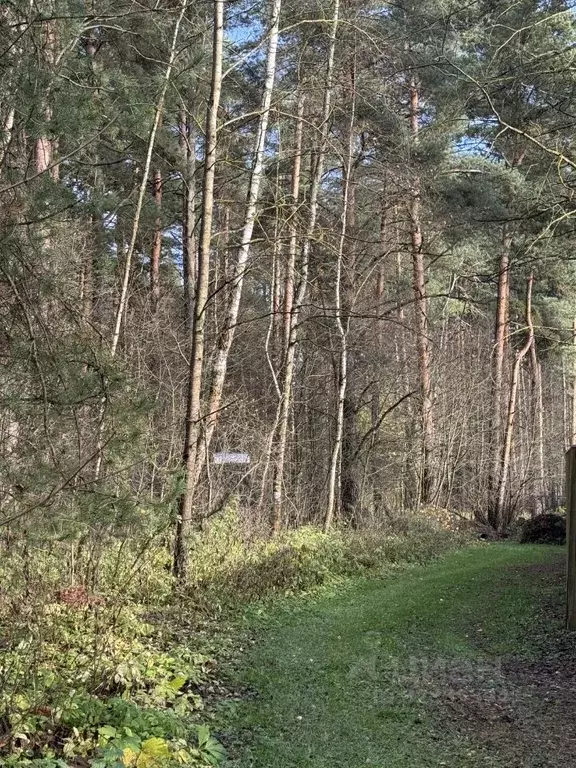 Дом в Московская область, Раменский муниципальный округ, д. Пласкинино ... - Фото 1