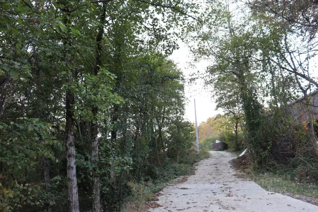 Участок в Краснодарский край, Сочи городской округ, с. Орел-Изумруд ... - Фото 2