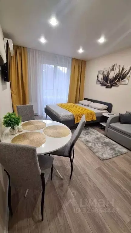 Студия Краснодарский край, Сочи ул. Искры, 88к3 (28.0 м) - Фото 1