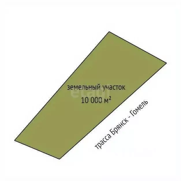 Участок в Брянская область, Выгоничи рп  (100.0 сот.) - Фото 2