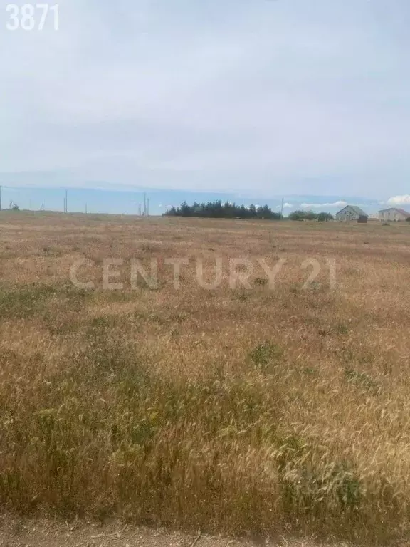 Участок в Крым, Сакский район, Суворовское с/пос, с. Каменоломня ул. ... - Фото 2