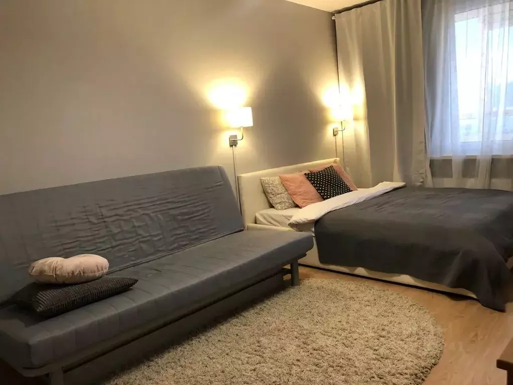 Студия Санкт-Петербург просп. Энергетиков, 9к3 (27.0 м) - Фото 2