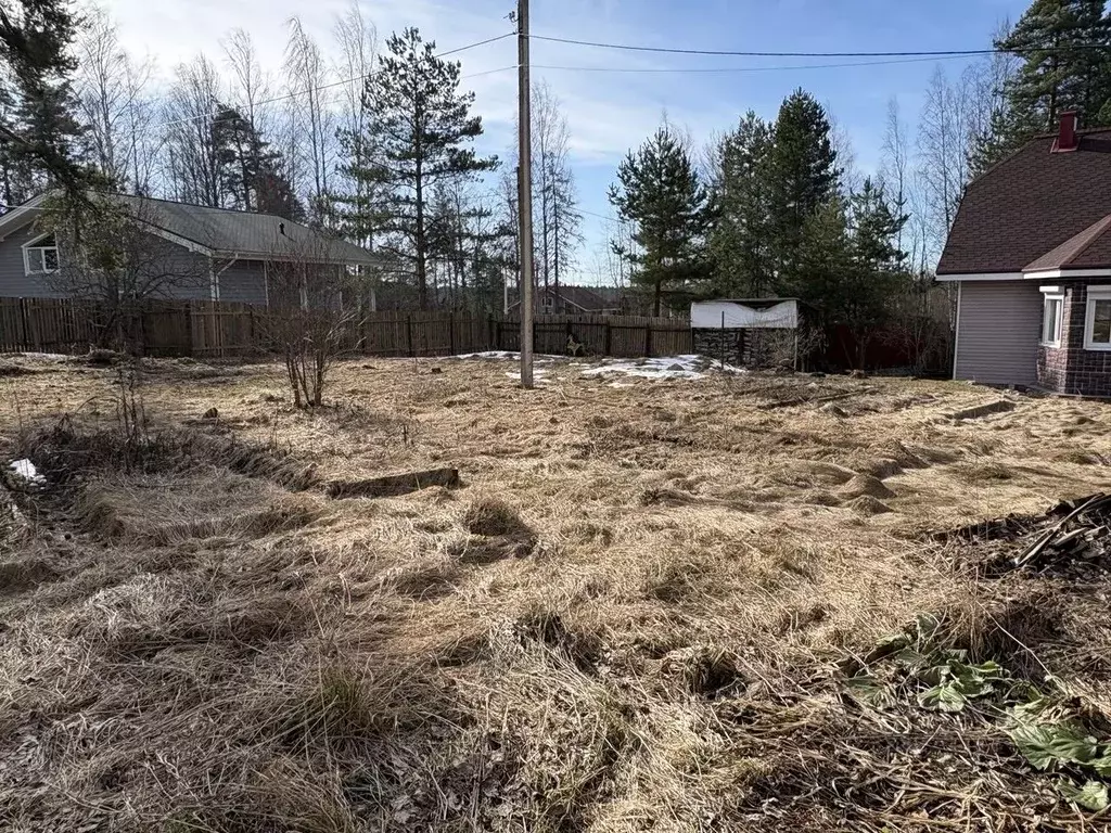 Участок в Ленинградская область, Приозерский район, пос. Мичуринское ... - Фото 2
