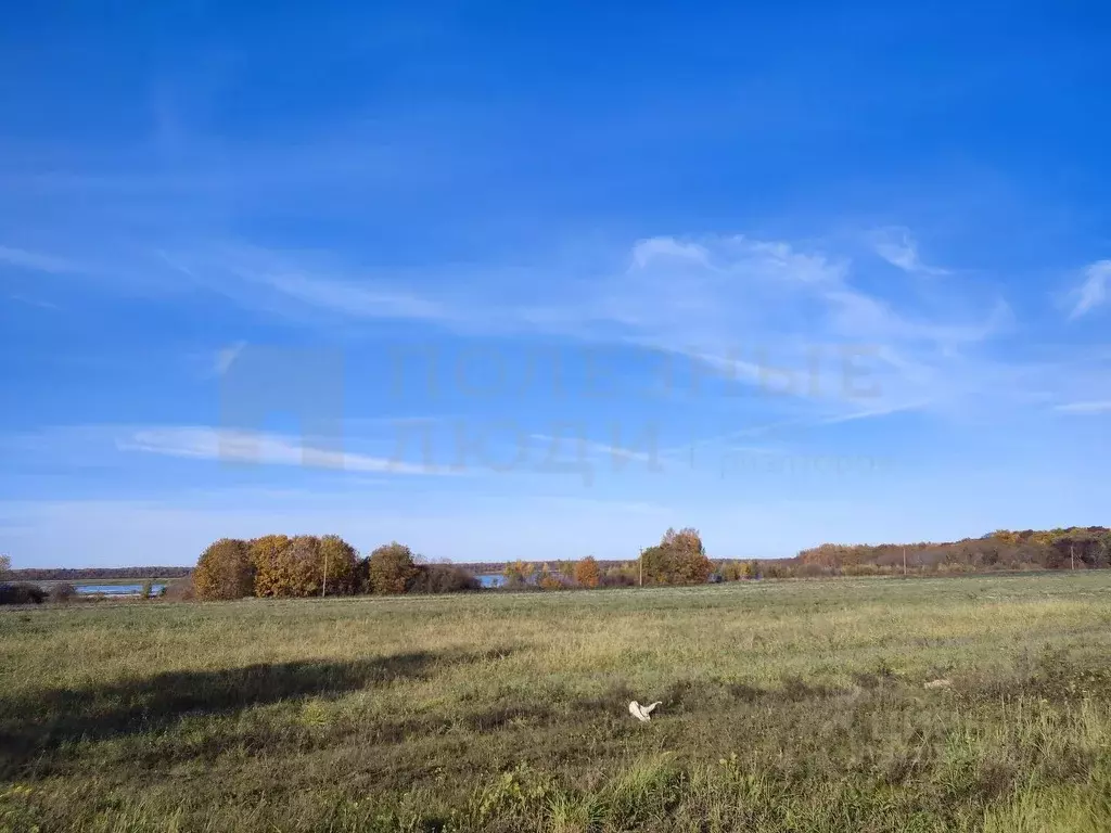 Участок в Новгородская область, Новгородский район, Бронницкое с/пос, ... - Фото 0