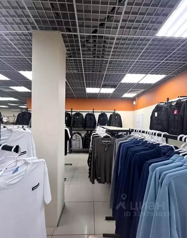 Торговая площадь в Новосибирская область, Новосибирск пл. Карла ... - Фото 1
