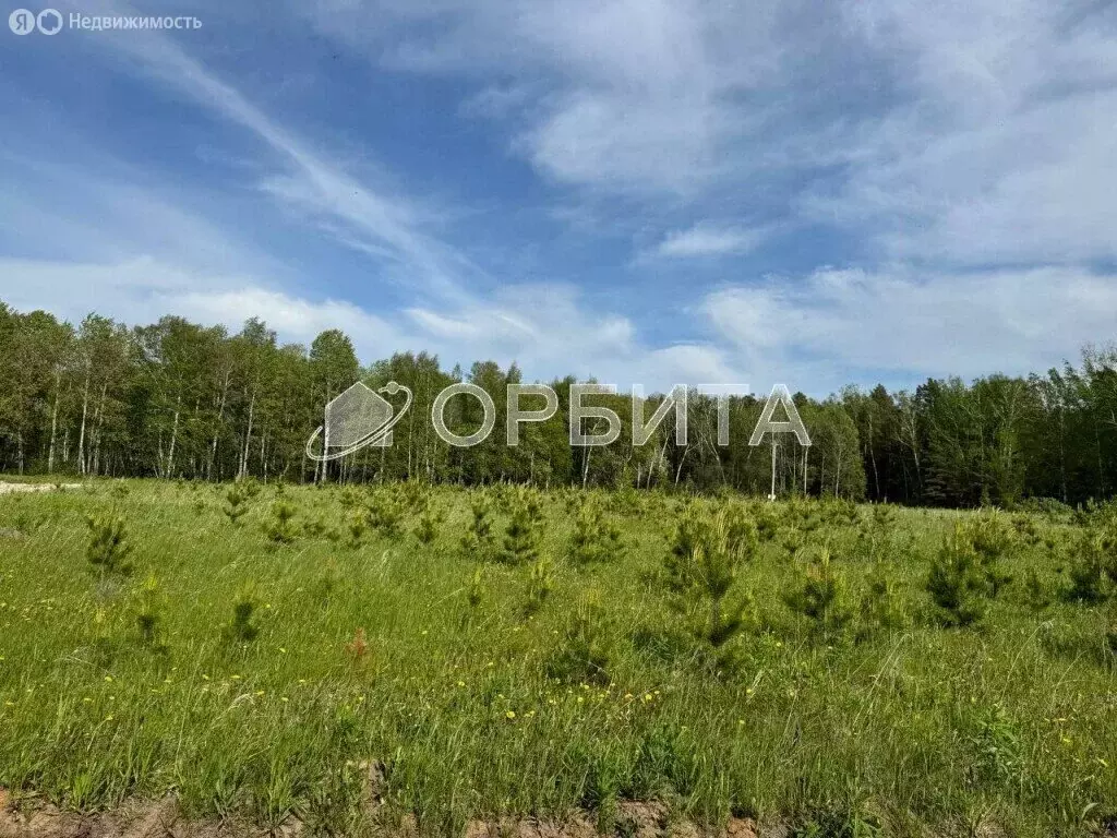 Участок в Тюмень, микрорайон Мыс, улица Ушакова (7 м) - Фото 0