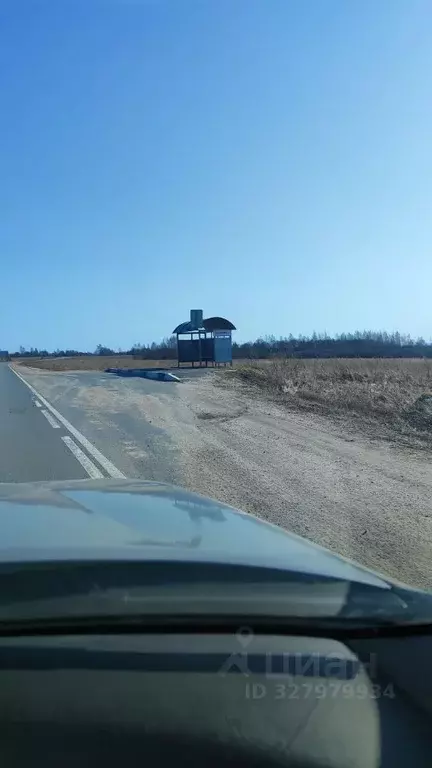 Участок в Псковская область, Печорский муниципальный округ, д. ... - Фото 2