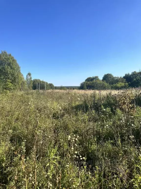 Участок в Владимирская область, Александровский район, Андреевское ... - Фото 1