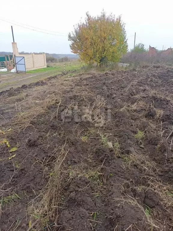 Участок в Мясниковский район, Краснокрымское сельское поселение, село ... - Фото 0