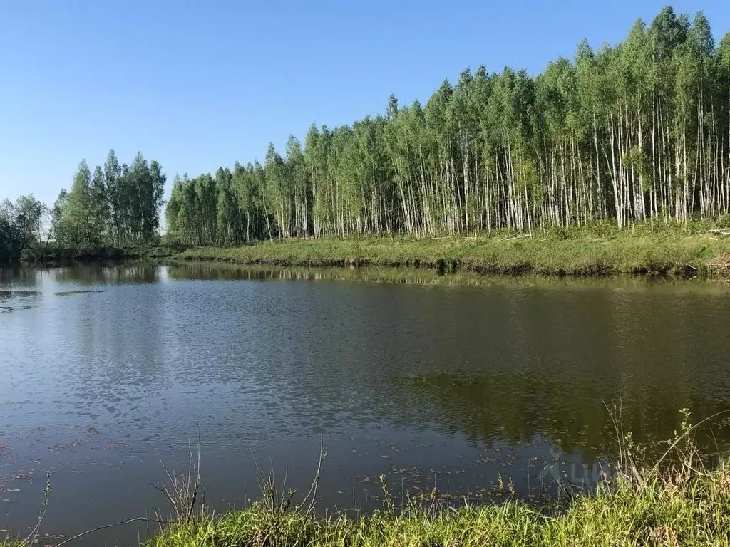 Участок в Московская область, Ступино городской округ, д. Тутыхино  ... - Фото 0