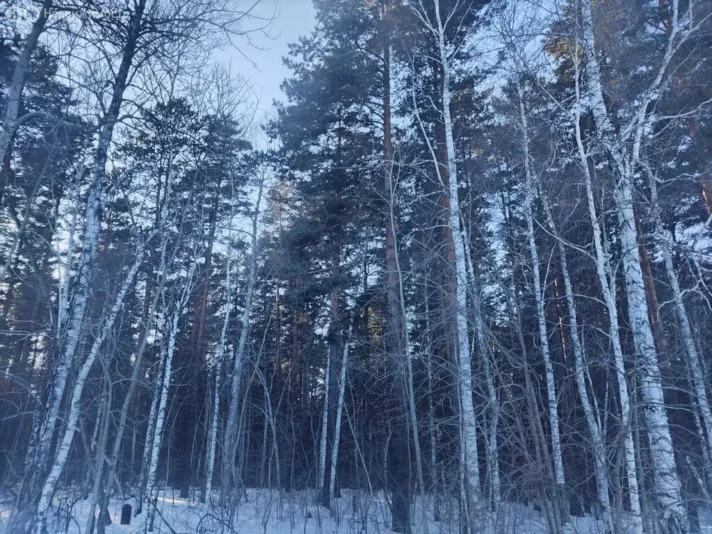 Участок в Иркутский муниципальный округ, посёлок Первомайский, ... - Фото 2
