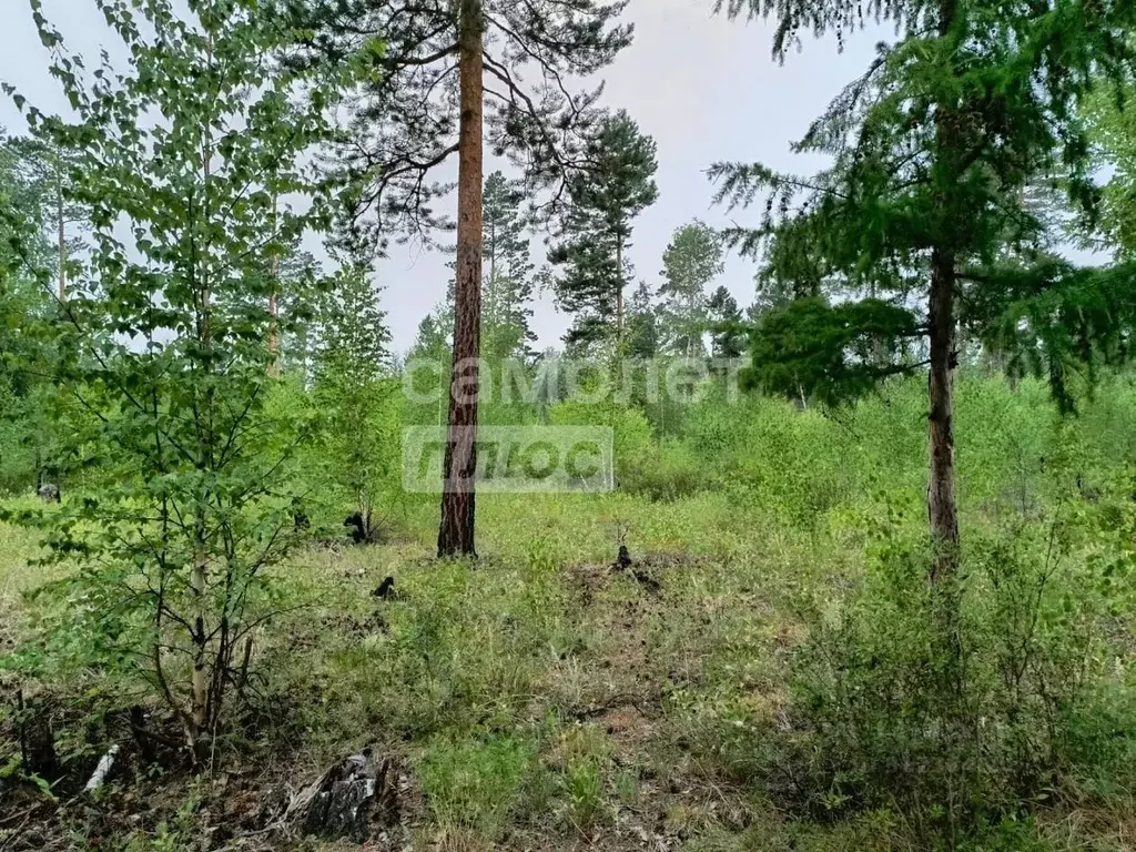 Участок в Забайкальский край, Читинский район, с. Смоленка  (8.0 сот.) - Фото 0