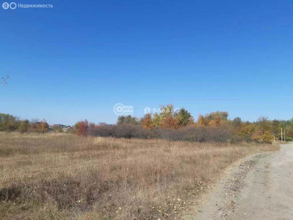 Участок в село Новая Усмань, Октябрьская улица, 19/2 (100 м) - Фото 1