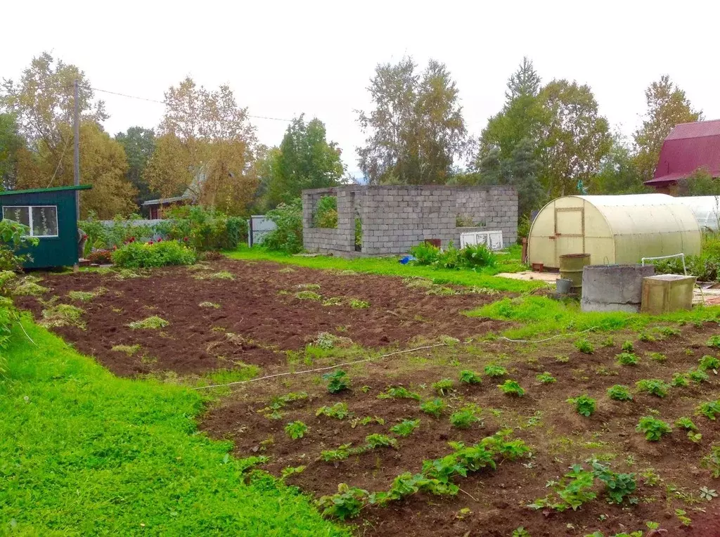 Дом в Камчатский край, Елизово Индустриец-1 Комбината ... - Фото 2