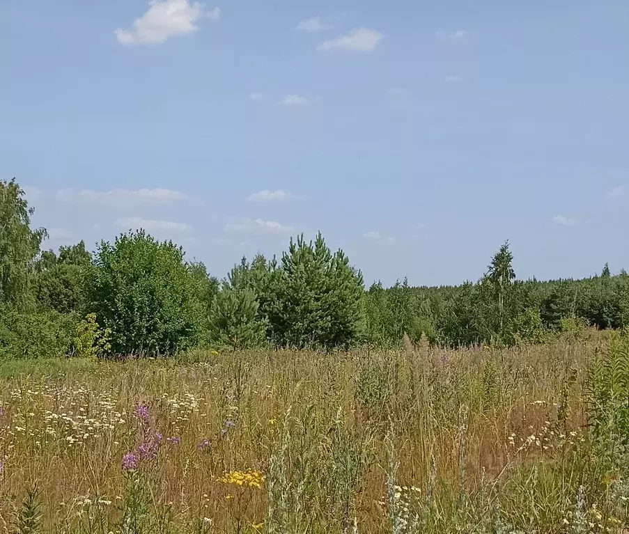 Участок в Чувашия, Чебоксарский муниципальный округ, д. Шанары  (8.05 ... - Фото 1