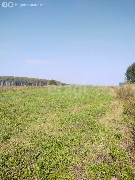 Участок в Калужская область, Козельский муниципальный округ, село ... - Фото 1