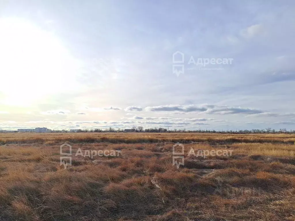 Участок в Волгоградская область, Волгоград ул. Яхтенная (8.1 сот.) - Фото 1