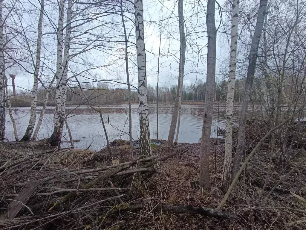 Участок в Нижегородская область, Нижний Новгород Сокол СНТ, № 5 сад, ... - Фото 1