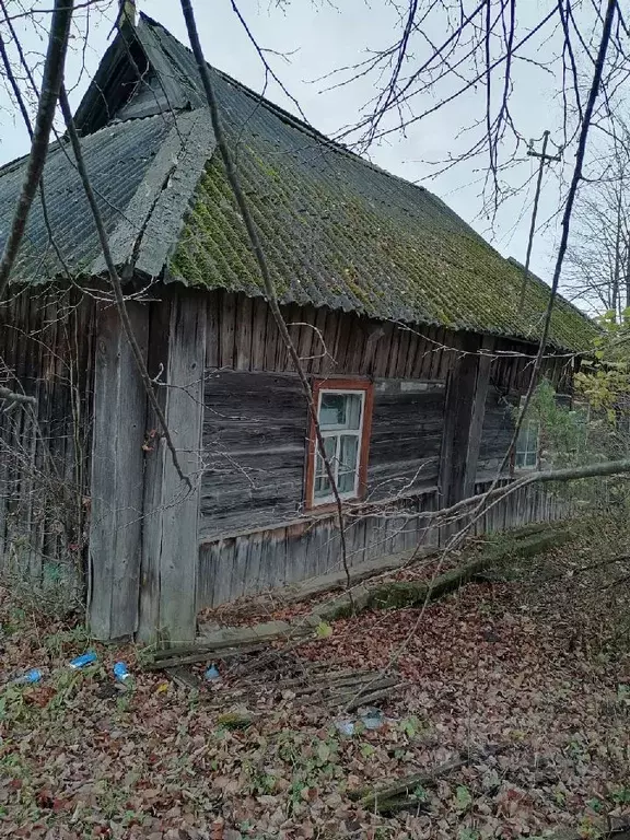 Дом в Смоленская область, Угранский район, д. Русаново  (43 м) - Фото 1
