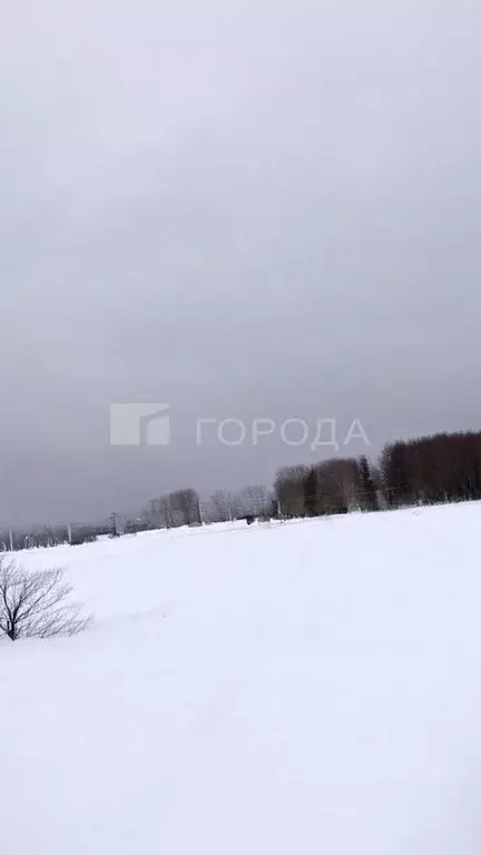 Участок в Кемеровская область, Новокузнецкий муниципальный округ, с. ... - Фото 1