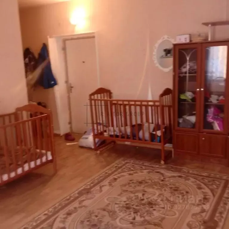 Студия Новосибирская область, Тогучинский район, пос. Нечаевский ул. ... - Фото 1