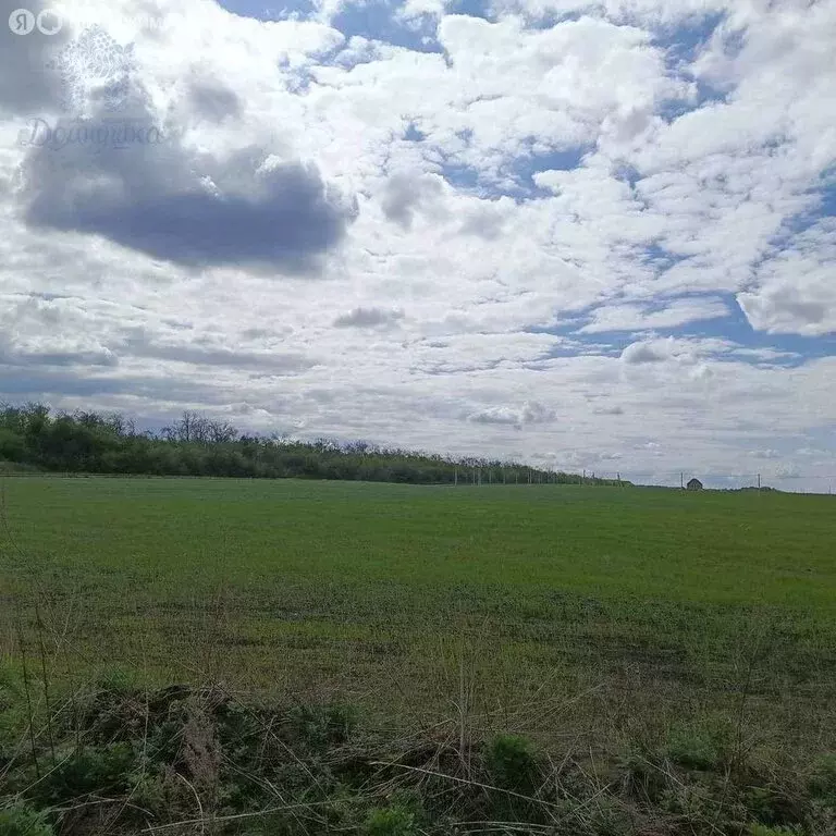 Участок в село Девица, улица Мира (8 м) - Фото 2