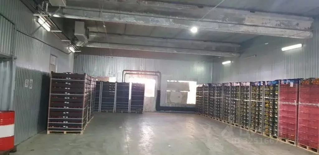 Склад в Омская область, Омск Омская ул., 225/2 (300 м) - Фото 1