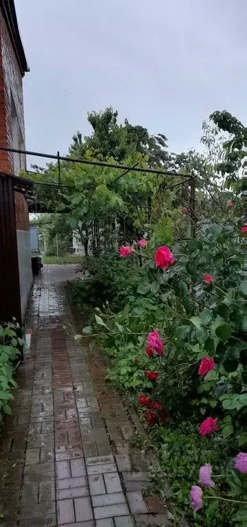 Коттедж в Краснодарский край, Северская ст-ца пер. Мичурина, 11 (65 м) - Фото 1
