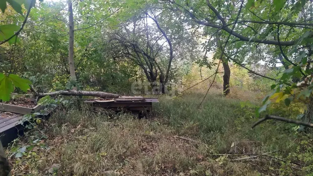 Участок в Ставропольский край, Ставрополь Дружба-2 садовое ... - Фото 2