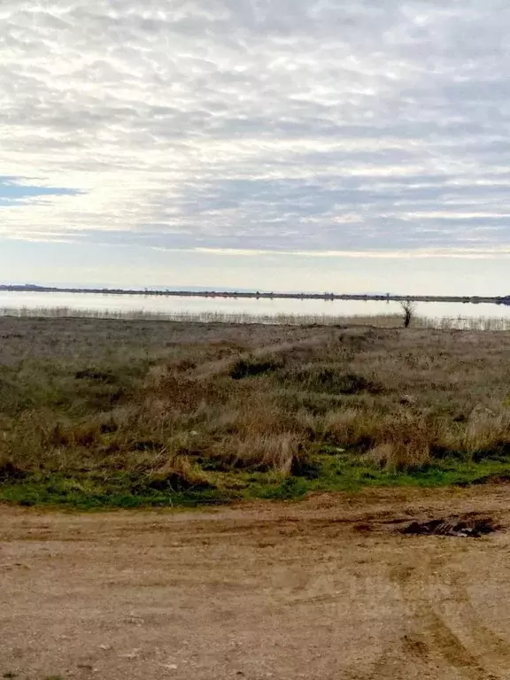 Участок в Крым, Сакский район, Молочненское с/пос, Молочненский ... - Фото 2
