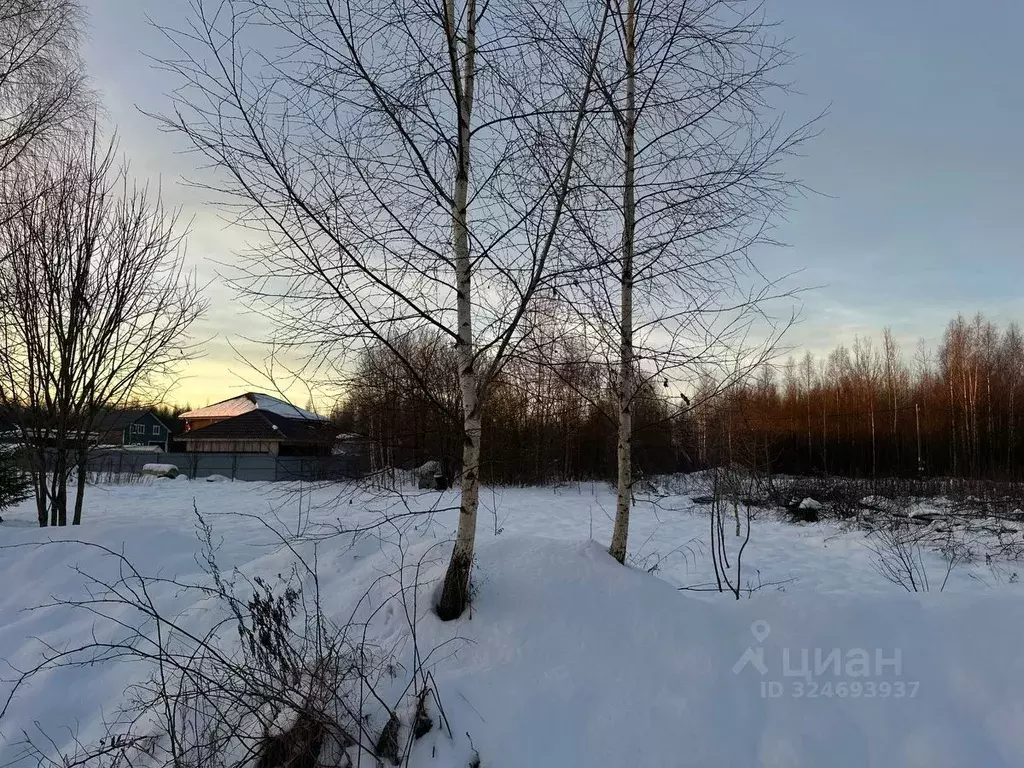 Участок в Вологодская область, Череповецкий район, д. Ирдоматка  (10.0 ... - Фото 2