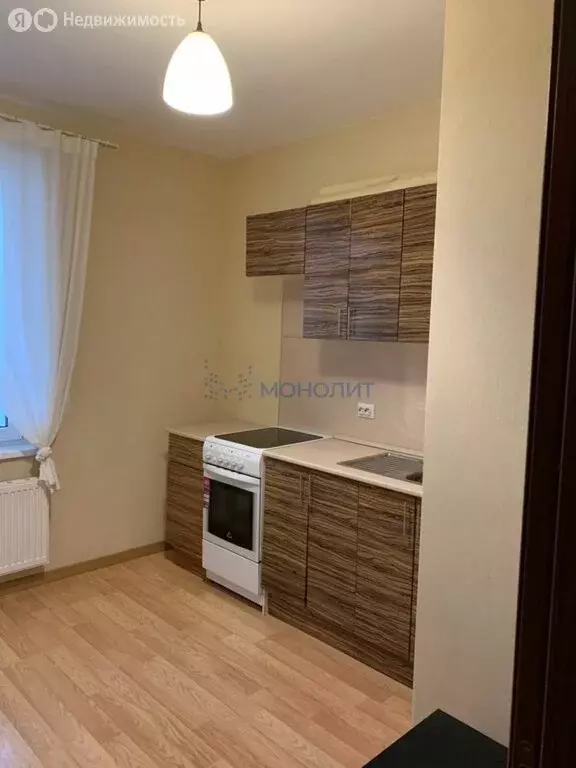 1-комнатная квартира: деревня Анкудиновка, Русская улица, 4 (36 м) - Фото 2