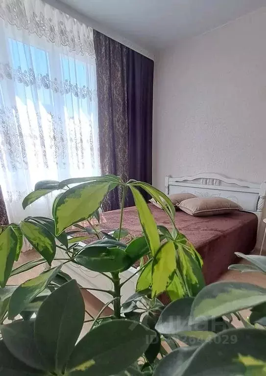 1-к кв. Воронежская область, Рамонский район, Яменское с/пос, Ветряк ... - Фото 1