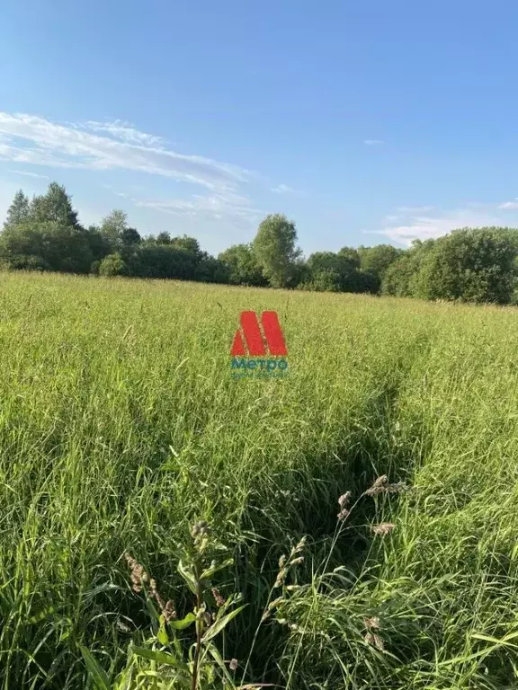 Участок в Ярославская область, Ярославский муниципальный округ, д. ... - Фото 2